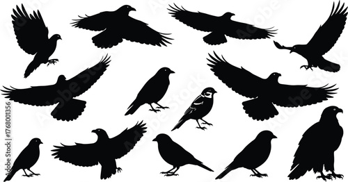 Bird silhouette vector set featuring flying, perched, standing birds in various poses for wildlife, nature, animal, and graphic design themes