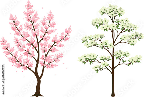 Beautiful spring flowering trees with pink cherry blossoms and white dogwood blooms, seasonal nature illustration for botanical design and decorative artwork
