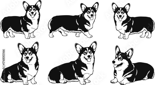 Black and white vector set of Corgi dog poses, smiling pet illustrations, sitting, standing, lying down, cute canine icons