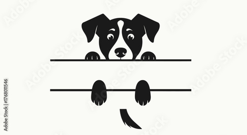 Cute black and white dog peeking over a split line