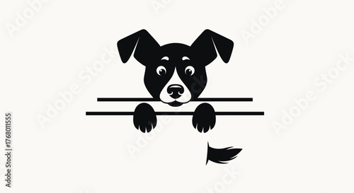 Black and white dog with expressive eyes peeking over a split line