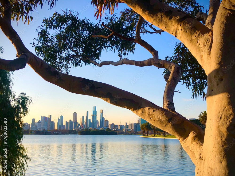 Obraz premium Looking over Albert Park Lake to Melbourne city at sunset in winter.