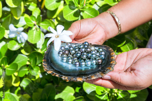 Black pearls of Tahiti in a oyster shell, French Polynesia