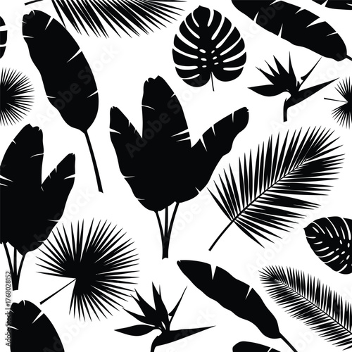 Seamless pattern of various tropical palm leaves and monstera foliage silhouettes on a white background