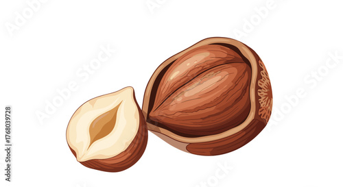 An illustrative depiction of two hazelnuts, one cracked open with its kernel revealed, and another half-kernel, isolated on a white background.