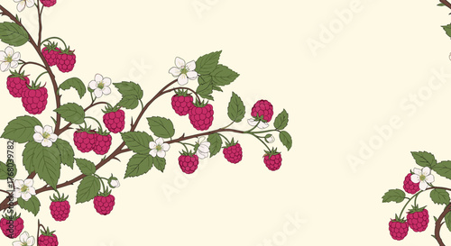 An illustration of vibrant red raspberries, green leaves, and delicate white flowers on winding branches against a light background, depicting a bountiful harvest.