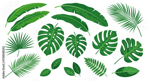 Vibrant collection of lush green tropical leaves, perfect for summer designs and exotic themes