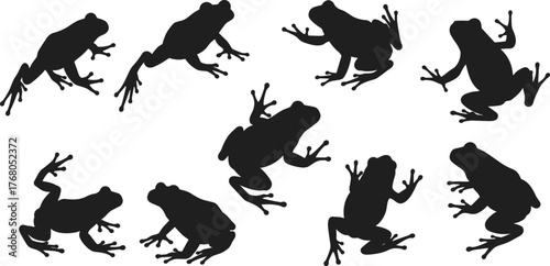 Collection of frog silhouettes in various jumping and sitting poses, black amphibian vector illustration for wildlife, nature, and educational design projects