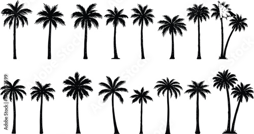 Tropical palm tree silhouette collection, coconut tree vector set for summer design, beach illustration, exotic nature art, and travel branding