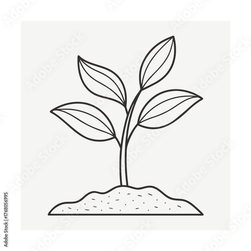 Simple line drawing of a plant seedling growing from soil Keywords: plant, seedling, sprout, growth, nature, organic, green, leaf, leaves, soil