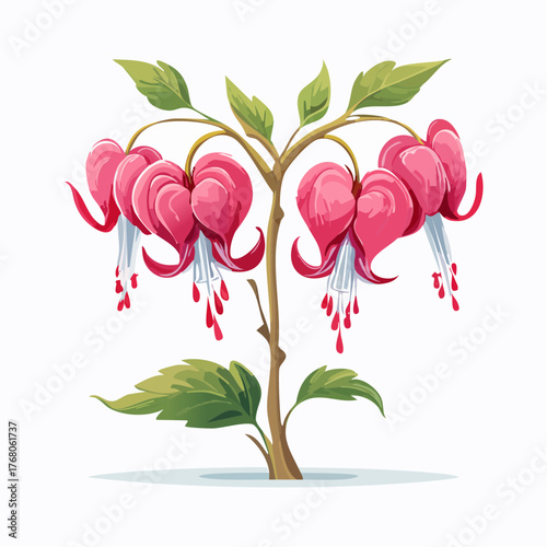 Bleeding heart flower branch with leaves