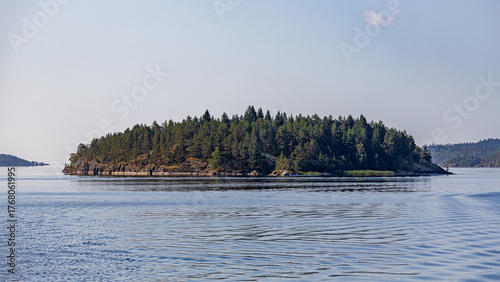 An island covered with coniferous trees located in the middle of a large river