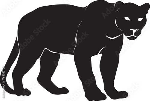 A black panther standing on a white background.