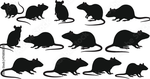 Rat and mouse silhouettes collection, rodent animal outline set isolated on white background, wildlife vector design, pest control illustration