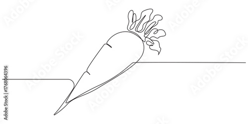 Radish vegetable one line art vector illustration,Continuous Line Drawing of Fresh Radishes