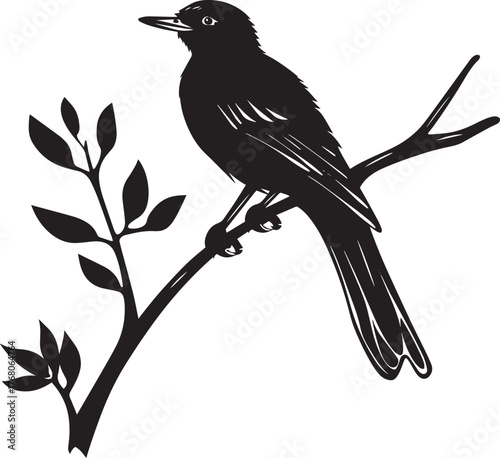 A black and white illustration of a bird perched on a branch with leaves.