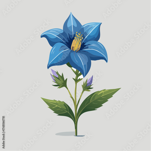 Blue bellflower with green leaves and buds