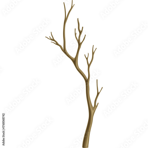 A Bare Tree Branch with Brown Twigs and Thin Stem Against a Clear Transparent Background Perfect for Nature Themed Designs and Vector Art