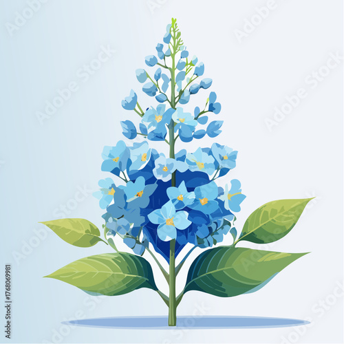 Blue delphinium flower with green leaves