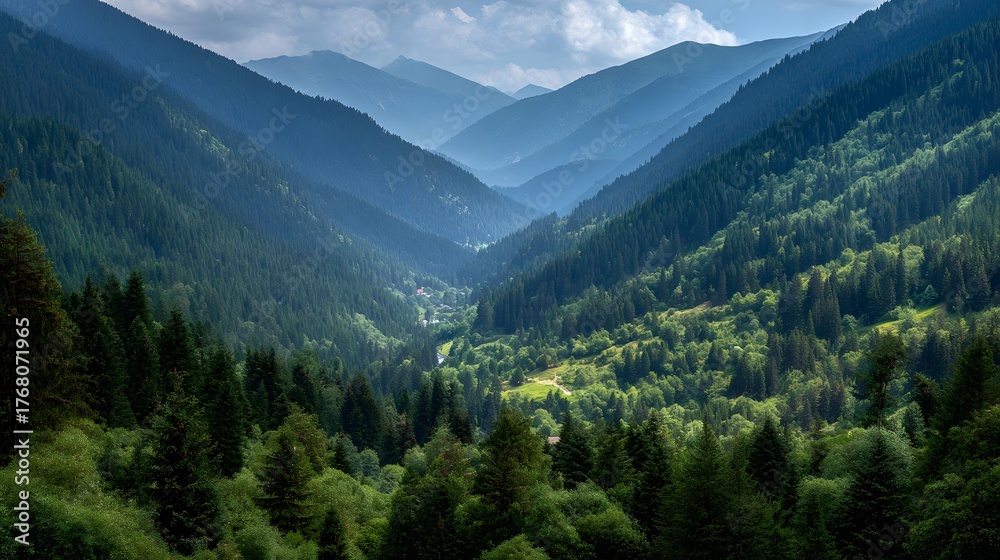 Fototapeta premium Deep forested mountain valley shows layers of receding slopes under dramatic sky
