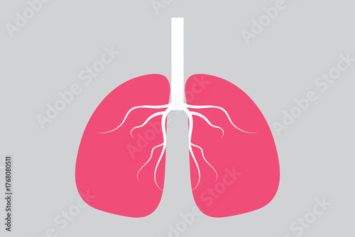 Lung Icon, Breath lungs vector on white background.