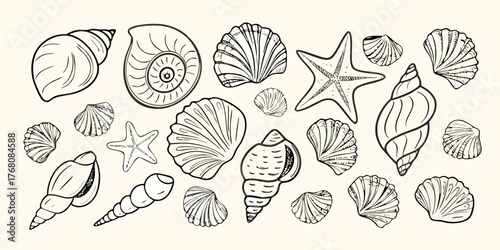 Collection of hand drawn black and white seashells and starfish on a light cream background