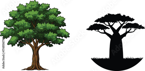 Green leafy summer tree and African baobab silhouette, nature contrast between tropical forest tree and dark landscape illustration design