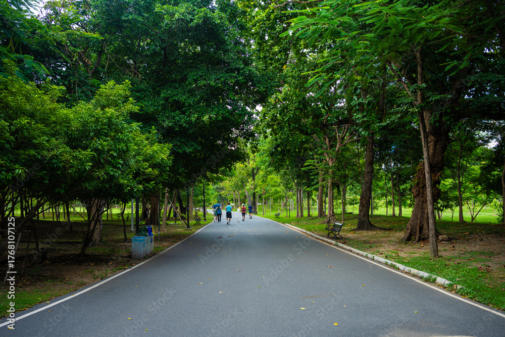 Obraz premium Asphalt walking and running road into green tree city park