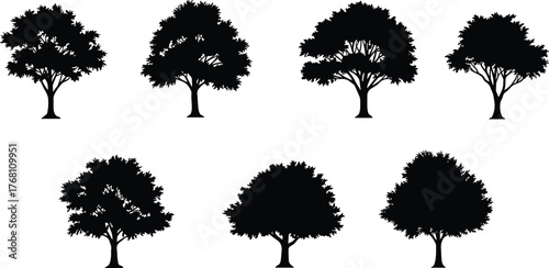 Collection of tree silhouettes, black isolated tree vector set, natural forest design elements, botanical illustration, eco friendly landscape art