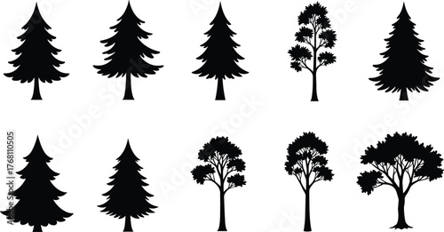 Black silhouette collection of pine and deciduous trees, natural forest tree vector design, evergreen woodland and summer landscape illustration