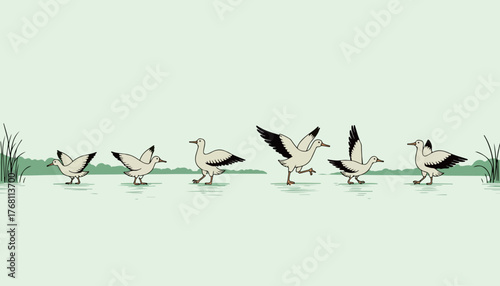 Birds in a row on water