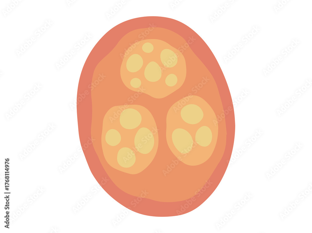 Fototapeta premium Human Parasite Coccidia Illustration 