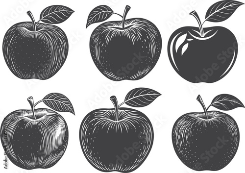 A colorful set of fresh, organic Apple fruits 