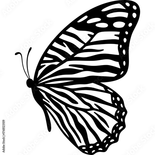 Silhouette of a beautiful monarch butterfly, isolated graphic design on white background. Symbol of nature, beauty and insects. Vector for spring or summer. Ideal for tattoo or decoration.