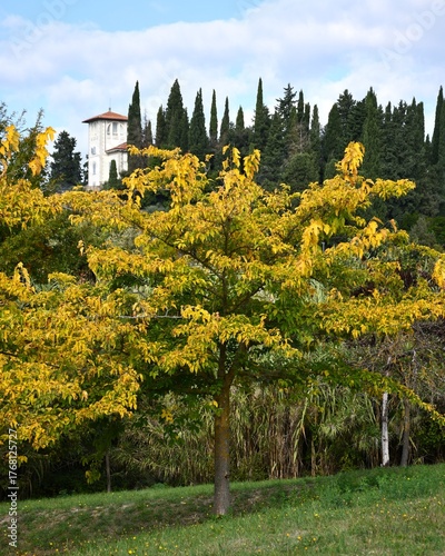 Jesień w Toskanii, Italia.