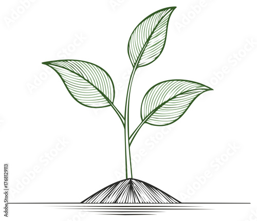 Young plant seedling with three leaves growing from a small soil mound in a hand-drawn line art style