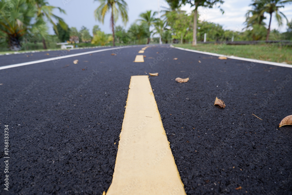 Obraz premium Asphalt road with yellow dashed center line stretches into distance, guiding peaceful journey through nature. Outdoor path shows low perspective, creating an inviting visual. Scattered dry leaves