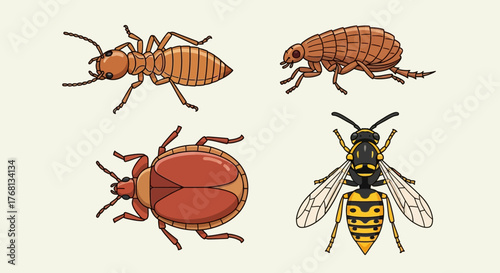Harmful household insects illustration displaying termite flea beetle and wasp for pest control