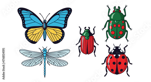 Vibrant insect collection featuring butterfly dragonfly and beetles ideal for educational purposes