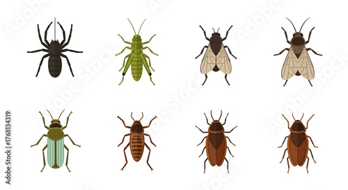 Various types of insects or arthropods display their unique features and characteristics on white