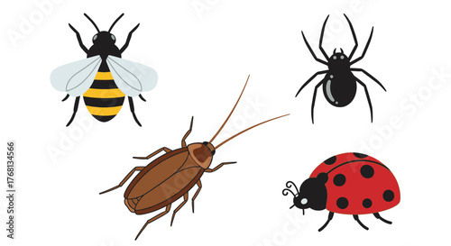 Collection of stylized insects illustration with bee cockroach ladybug and spider icons over a