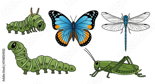 Entomological diversity: Artistic representations of caterpillars, a butterfly, a dragonfly, and a