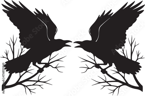 Two Black Ravens on Bare Branches crow bird