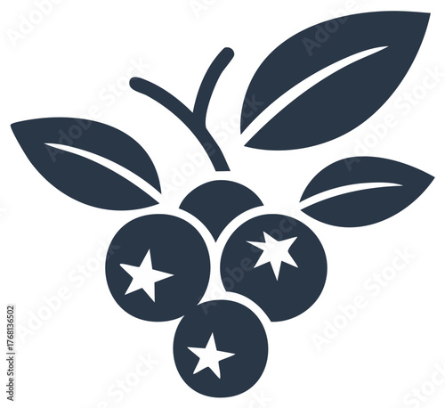 Dark blue stylized blueberries with leaves on a branch simple graphic icon
