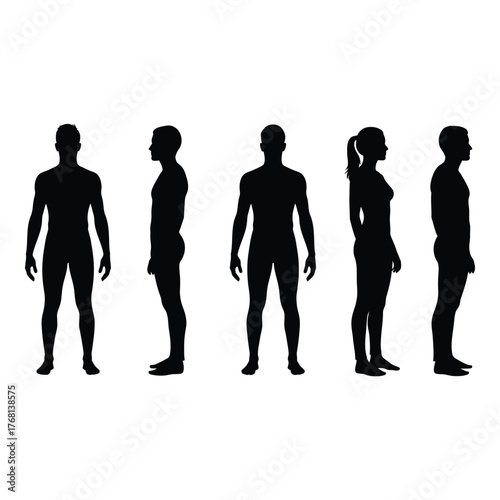 Diverse human silhouettes in full profile and frontal views representing anatomy and body forms silhouette
