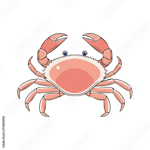 Cute pink crab cartoon character illustration with raised claws. Simple marine animal vector art.