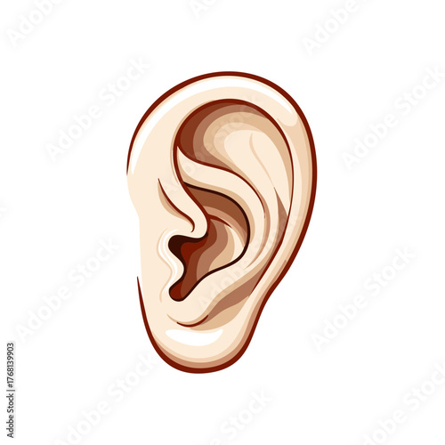 Detailed human ear anatomy illustration representing the sense of hearing and listening concept
