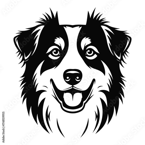 Dynamic black and white australian shepherd dog face close-up portrait iconic breed representation silhouette