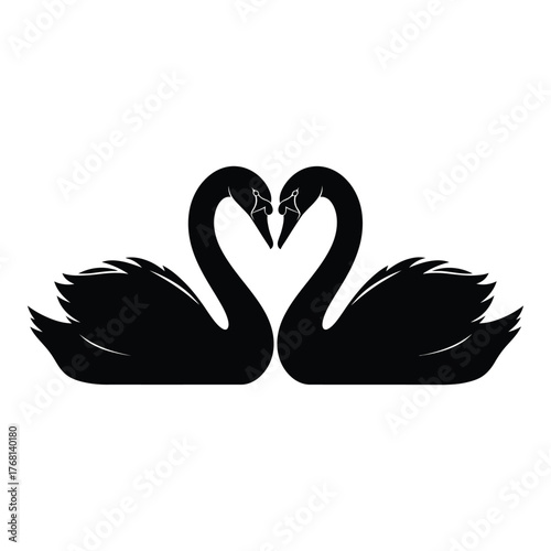 Elegant silhouette of two black swans forming a heart symbol of love and romance silhouette