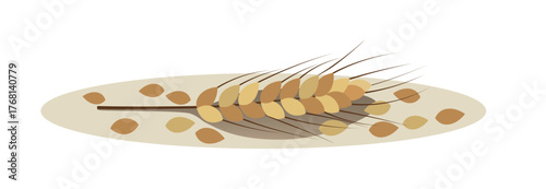 Wheat and grains vector illustration